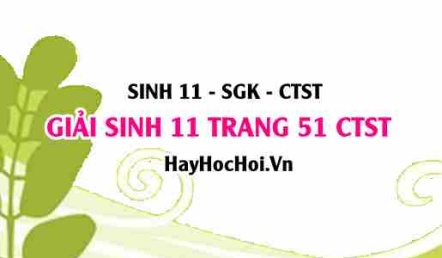 Giải Sinh 11 trang 51 Chân trời sáng tạo SGK